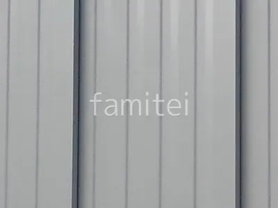 本体色 プラチナシルバー