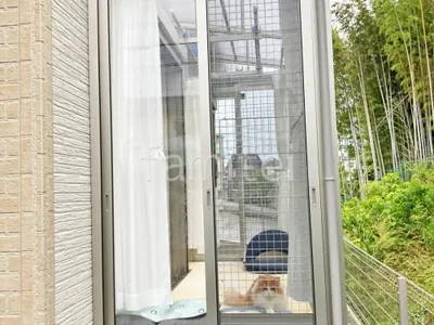 本体色 プラチナステン