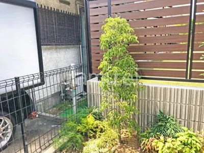 シンボルツリー