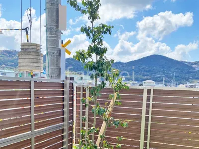 シンボルツリー