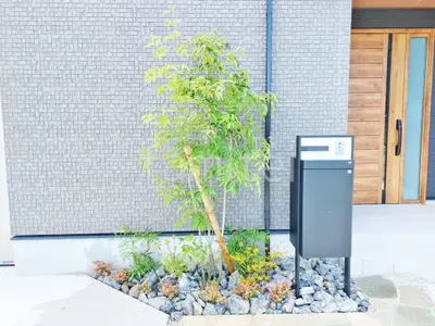 シンボルツリー アオダモ 落葉樹 植栽