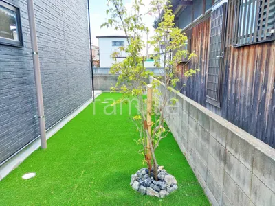 シンボルツリー ヤマボウシ 落葉樹 植栽