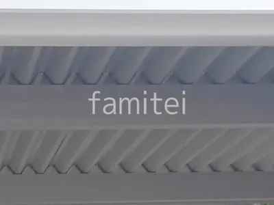 本体色 プラチナステン