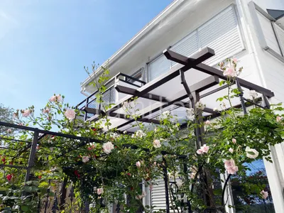 １階テラス屋根 （雨除け） YKKAP フル木製調 サザンテラス パーゴラタイプ フラット屋根 スタンダード 壁付