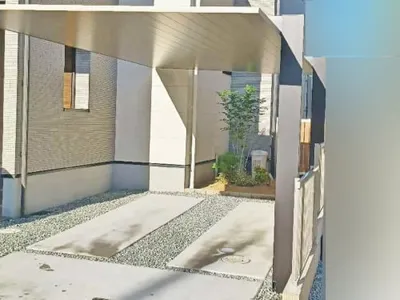 本体色 ブラック