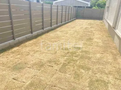 芝生張り 姫高麗芝