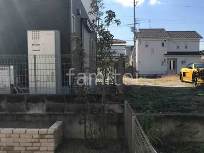 シンボルツリー ホンコンエンシス 常緑樹 植栽