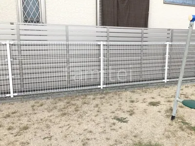 本体色 シャイングレー