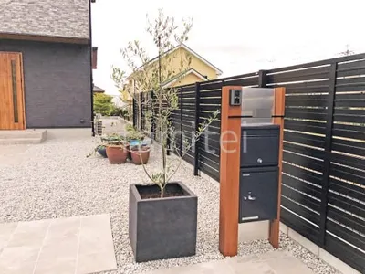 シンボルツリー オリーブ 常緑樹 植栽 植木鉢 オンリーワン リガンデキューブW500