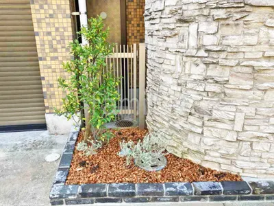 シンボルツリー タイサンボク リトルジェム 常緑樹 植栽