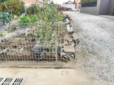 本体色 プラチナステン