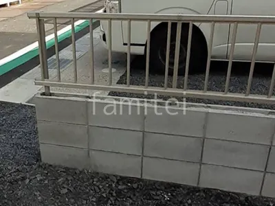 本体色 プラチナステン