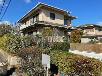 樹木 伐採 葉刈り 剪定