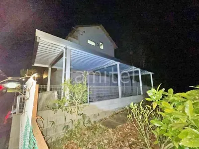 本体色 プラチナステン