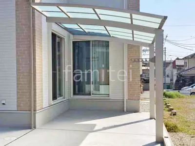 本体色 プラチナステン