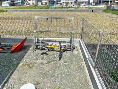 本体色 プラチナステン