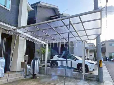 本体色 プラチナステン