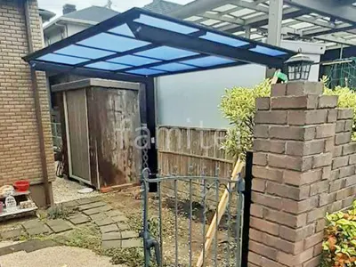 本体色 ブラック