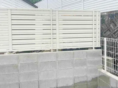 本体色 ホワイト