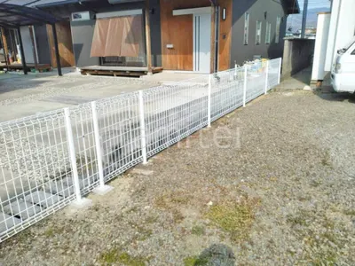 本体色 ホワイト