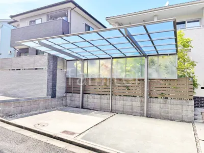 本体色 シャイングレー