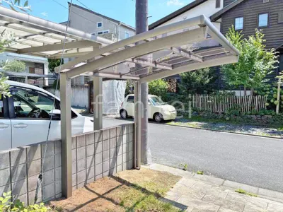 本体色 シャイングレー