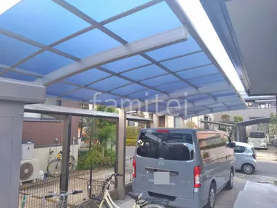 本体色 プラチナステン