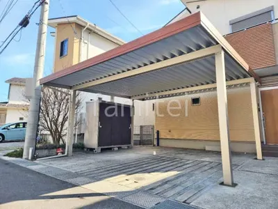 本体色 キャラメルチーク＋プラチナステン