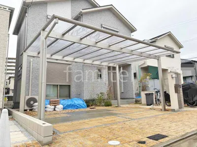 本体色 プラチナステン