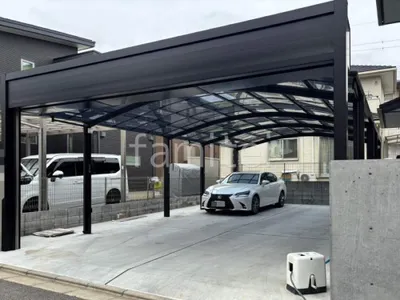 本体色 ブラック