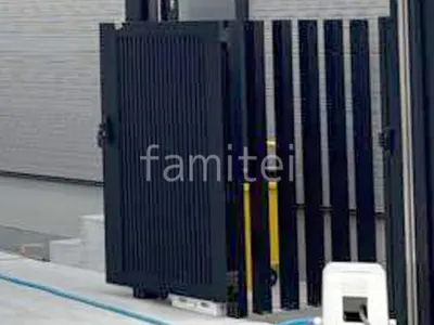 本体色 ブラック