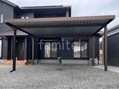 本体色 ブラウン