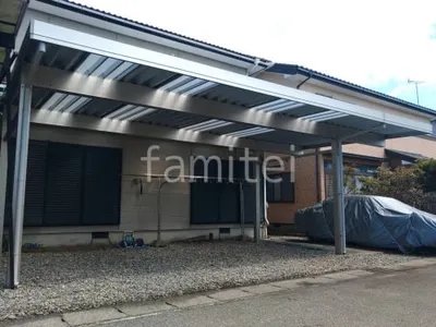 本体色 プラチナステン