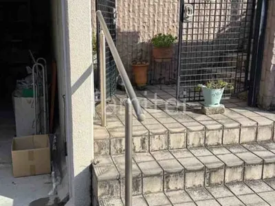 本体色 シャイングレー