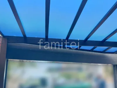 本体色 ブラウン