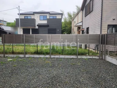 本体色 シャイングレー