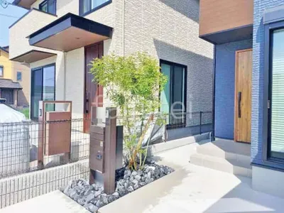 シンボルツリー   シマトネリコ 