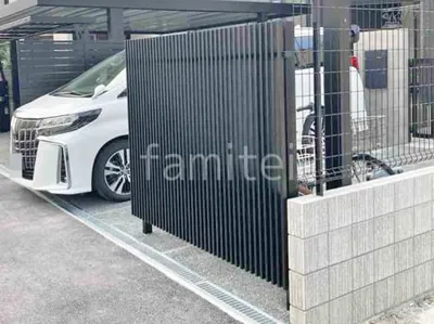 本体色 ブラック