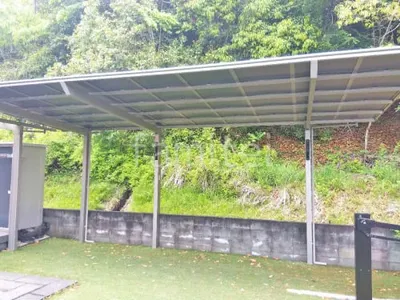 本体色 シャイングレー