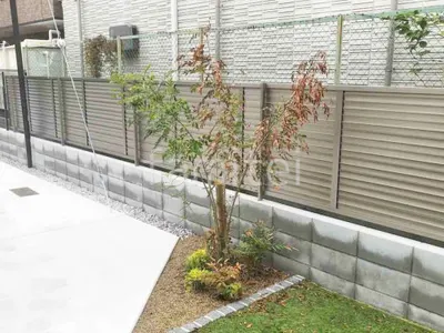 シンボルツリー   シマトネリコ 