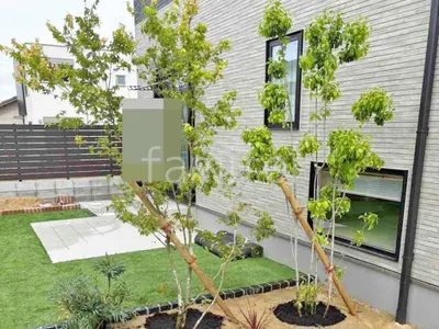 シンボルツリー イロハモミジ ソヨゴ 植栽