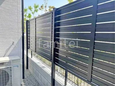 本体色 ブラック