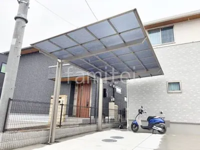 本体色 シャイングレー