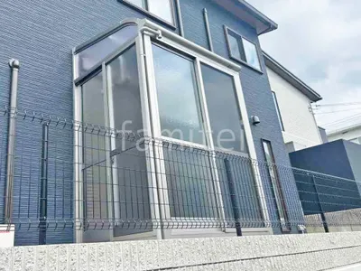 本体色 プラチナステン