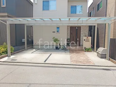 本体色 プラチナステン