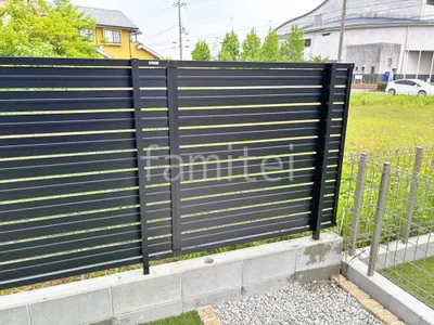 本体色 ブラック