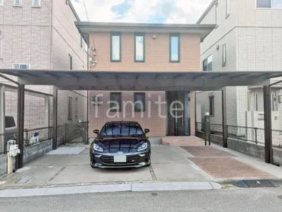 本体色 ブラウン