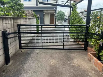 本体色 ブラック