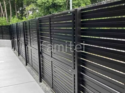 本体色 ブラック