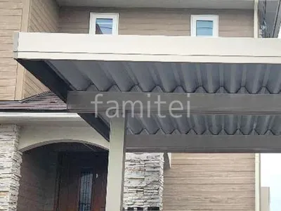 本体色 プラチナステン